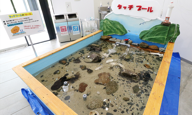 タッチプール