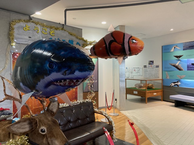 バルーンラジコンを操作してみませんか