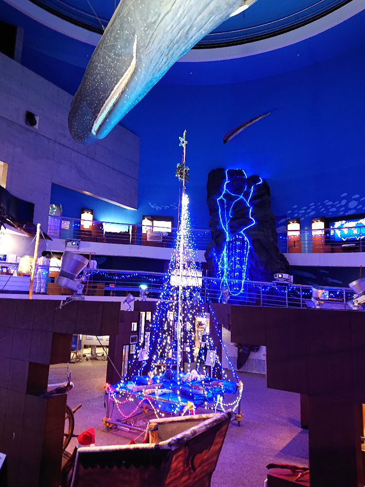 鯨館、ライトアップ中です
